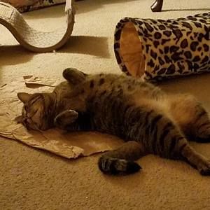 Meet your Posher, Jody